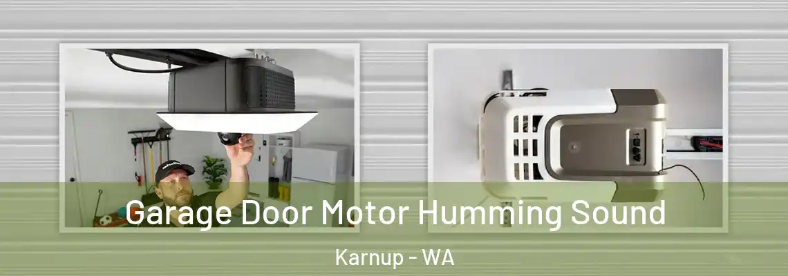 Garage Door Motor Humming Sound Karnup - WA