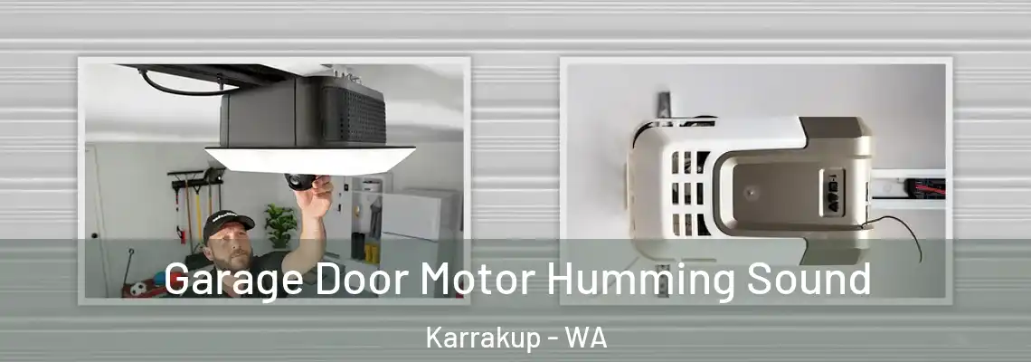Garage Door Motor Humming Sound Karrakup - WA