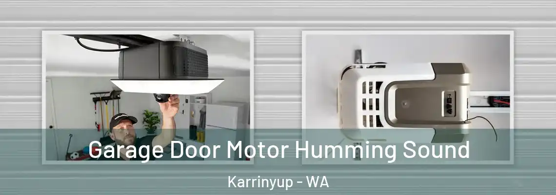 Garage Door Motor Humming Sound Karrinyup - WA