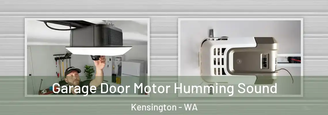 Garage Door Motor Humming Sound Kensington - WA