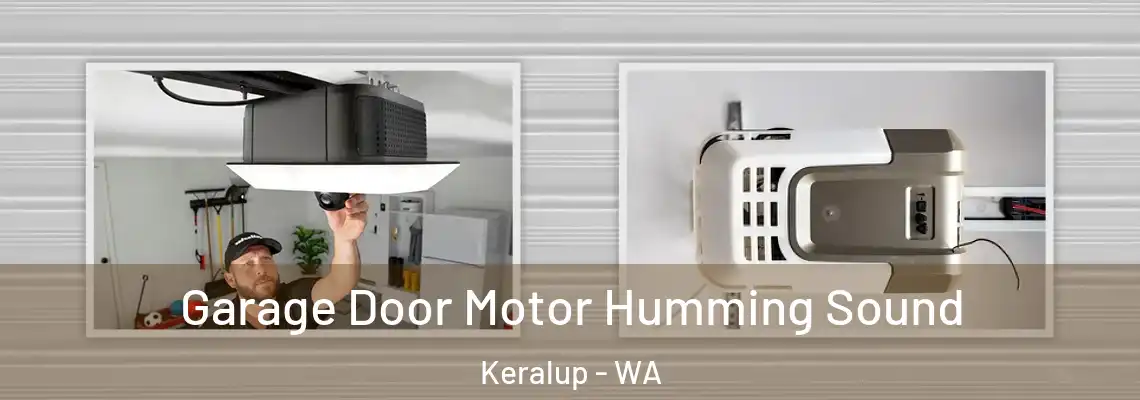 Garage Door Motor Humming Sound Keralup - WA