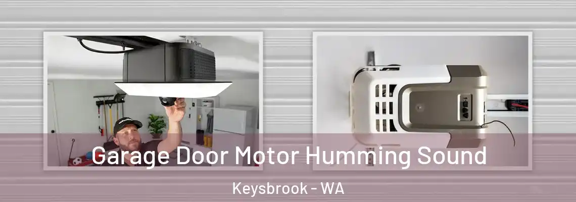 Garage Door Motor Humming Sound Keysbrook - WA