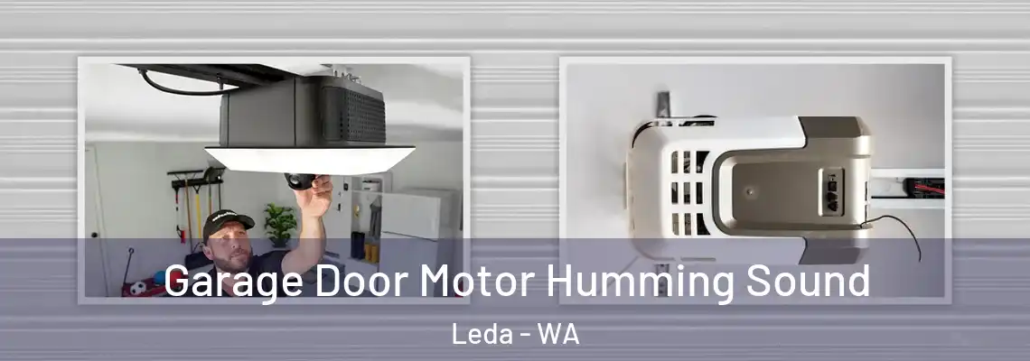 Garage Door Motor Humming Sound Leda - WA