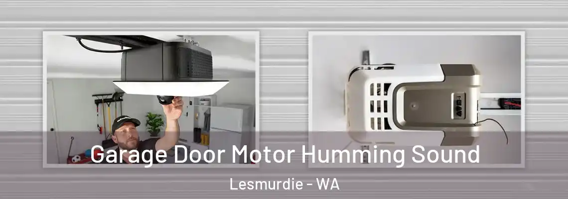Garage Door Motor Humming Sound Lesmurdie - WA