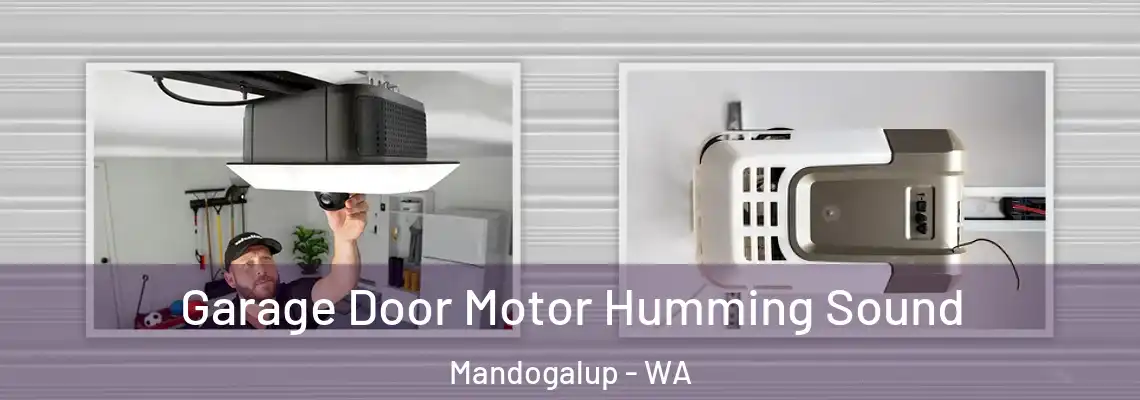 Garage Door Motor Humming Sound Mandogalup - WA