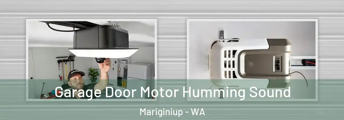 Garage Door Motor Humming Sound Mariginiup - WA