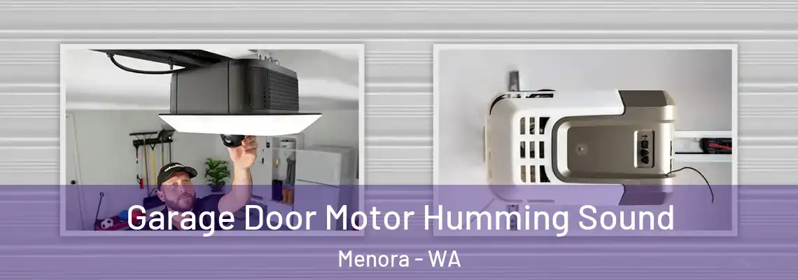 Garage Door Motor Humming Sound Menora - WA