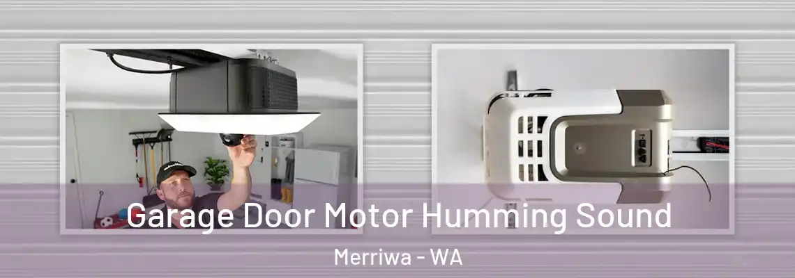 Garage Door Motor Humming Sound Merriwa - WA