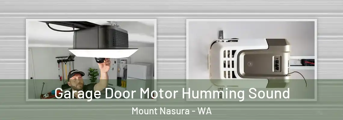 Garage Door Motor Humming Sound Mount Nasura - WA