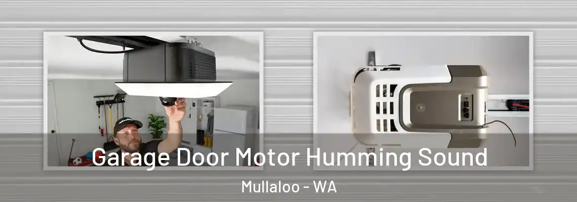 Garage Door Motor Humming Sound Mullaloo - WA