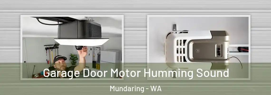  Garage Door Motor Humming Sound Mundaring - WA