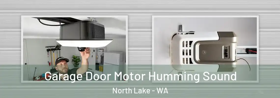 Garage Door Motor Humming Sound North Lake - WA