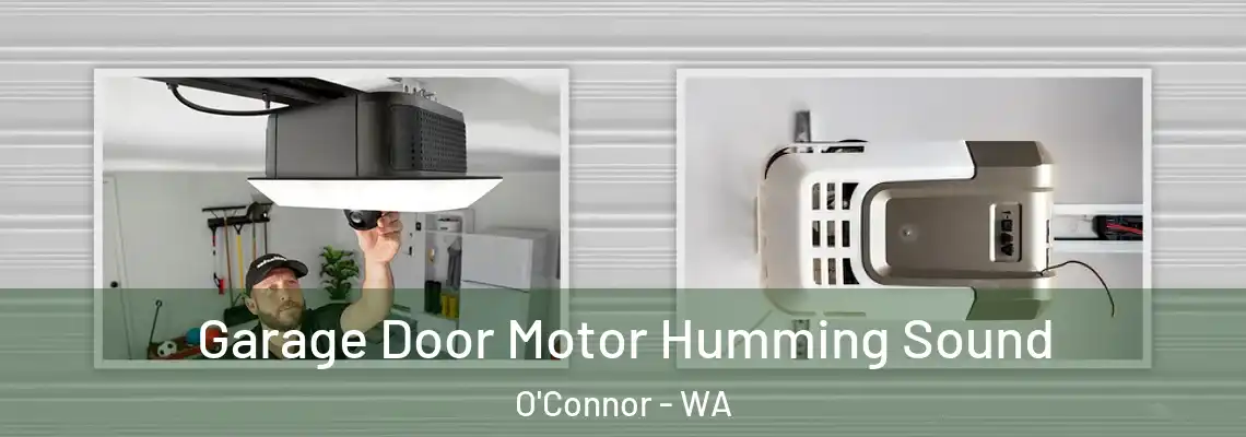 Garage Door Motor Humming Sound O'Connor - WA