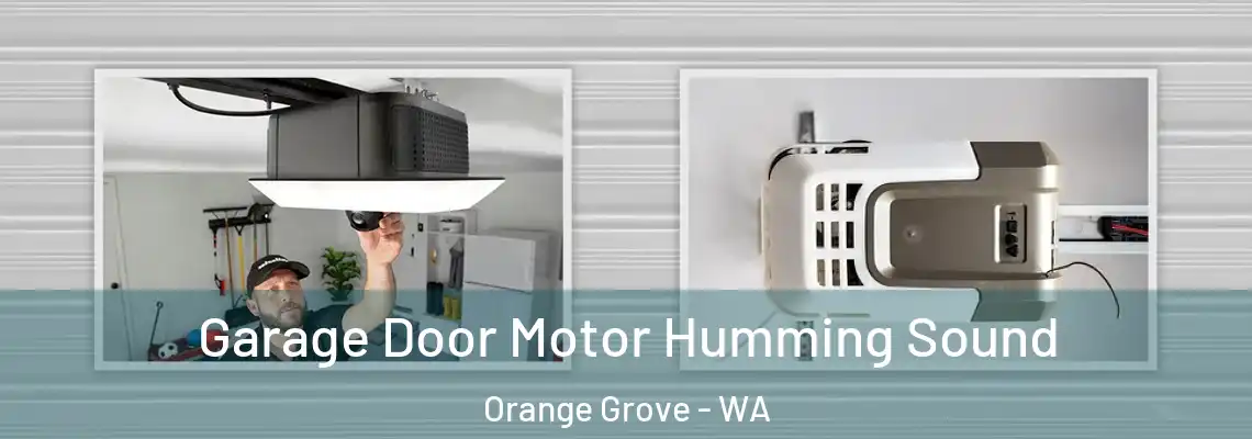 Garage Door Motor Humming Sound Orange Grove - WA