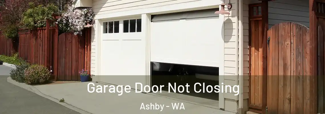 Garage Door Not Closing Ashby - WA