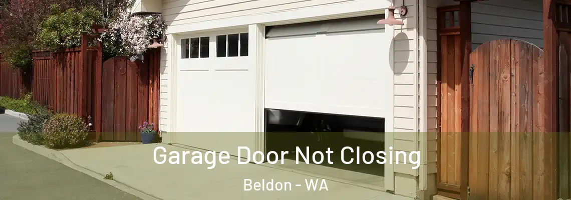 Garage Door Not Closing Beldon - WA