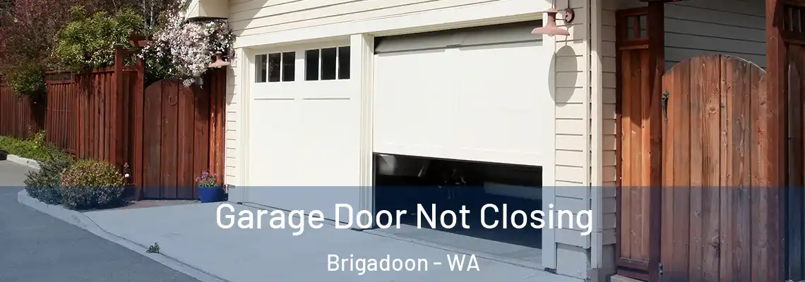  Garage Door Not Closing Brigadoon - WA