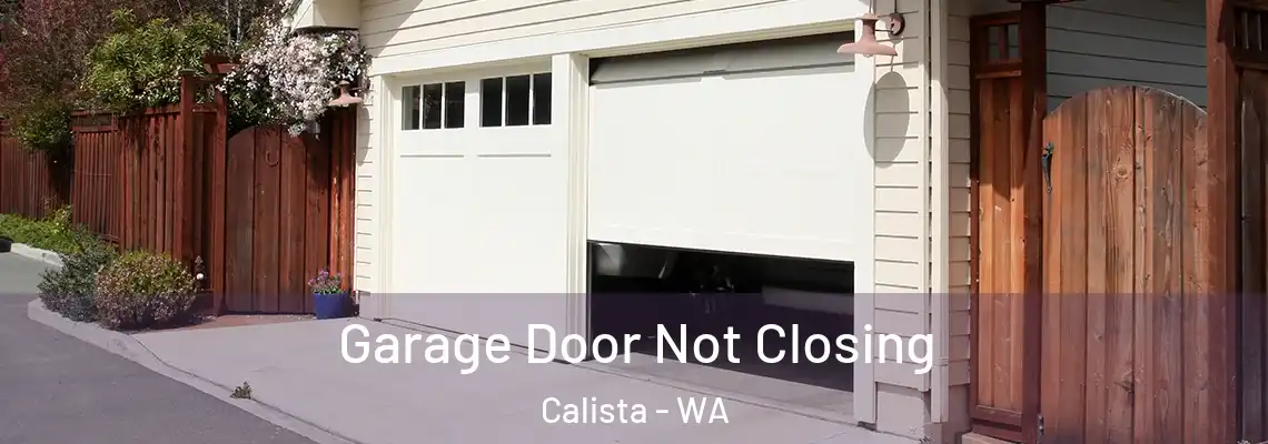 Garage Door Not Closing Calista - WA