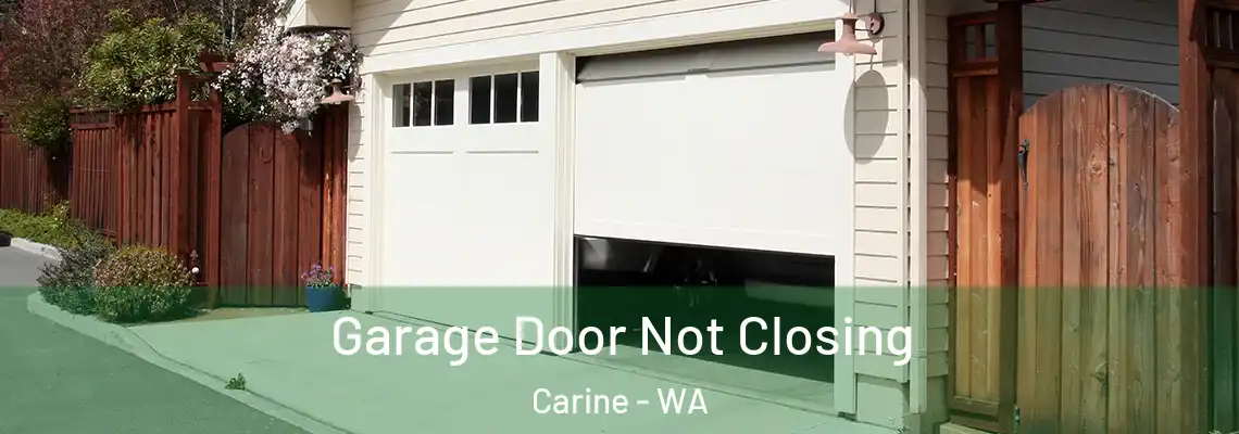 Garage Door Not Closing Carine - WA