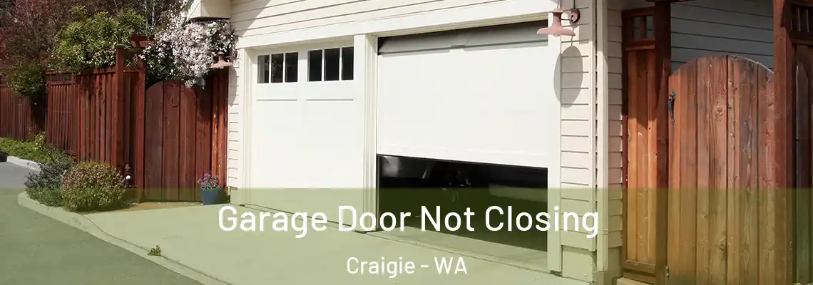 Garage Door Not Closing Craigie - WA