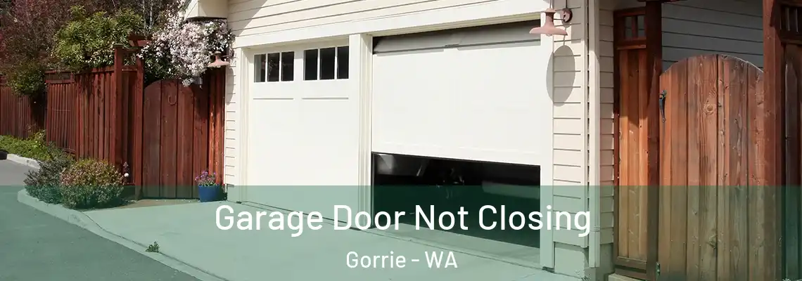 Garage Door Not Closing Gorrie - WA