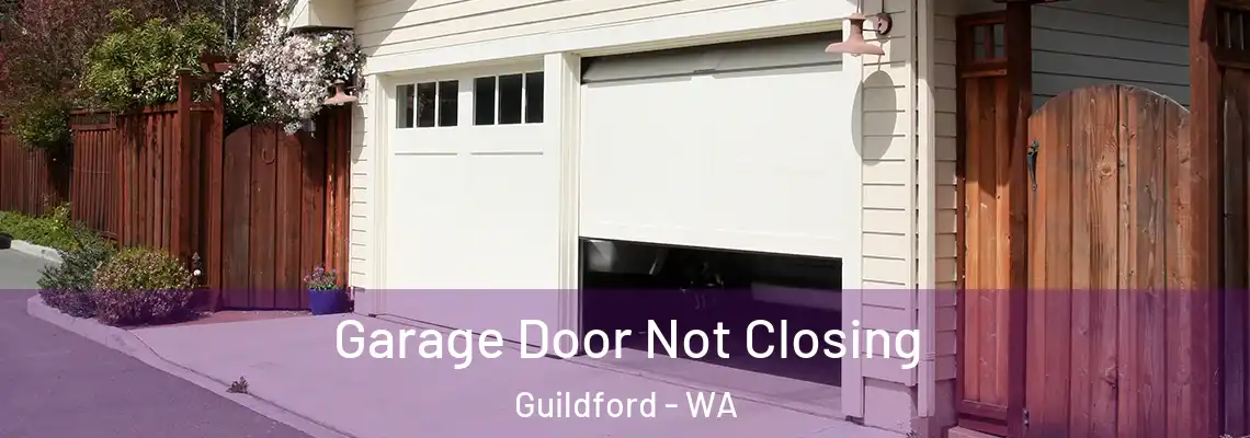 Garage Door Not Closing Guildford - WA