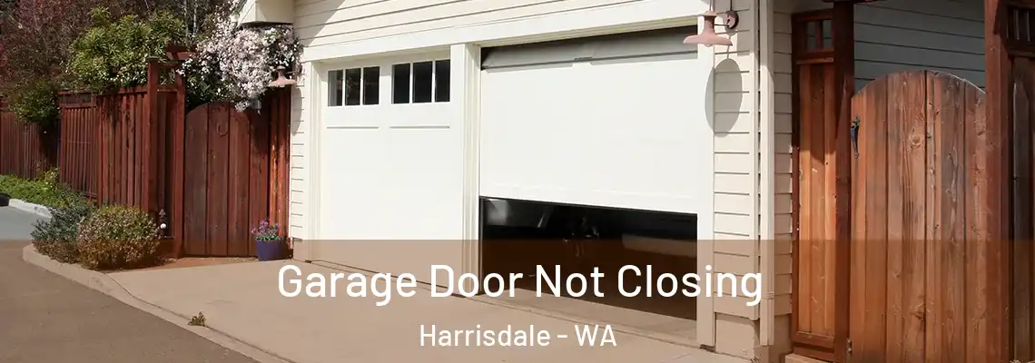 Garage Door Not Closing Harrisdale - WA