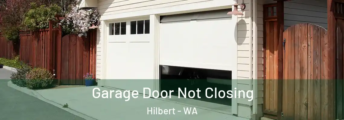 Garage Door Not Closing Hilbert - WA