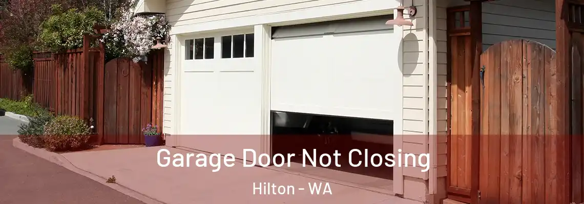  Garage Door Not Closing Hilton - WA
