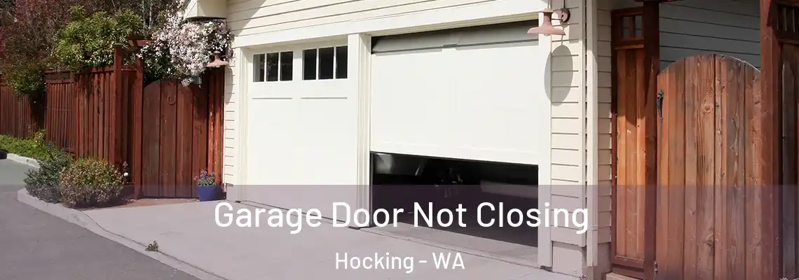 Garage Door Not Closing Hocking - WA