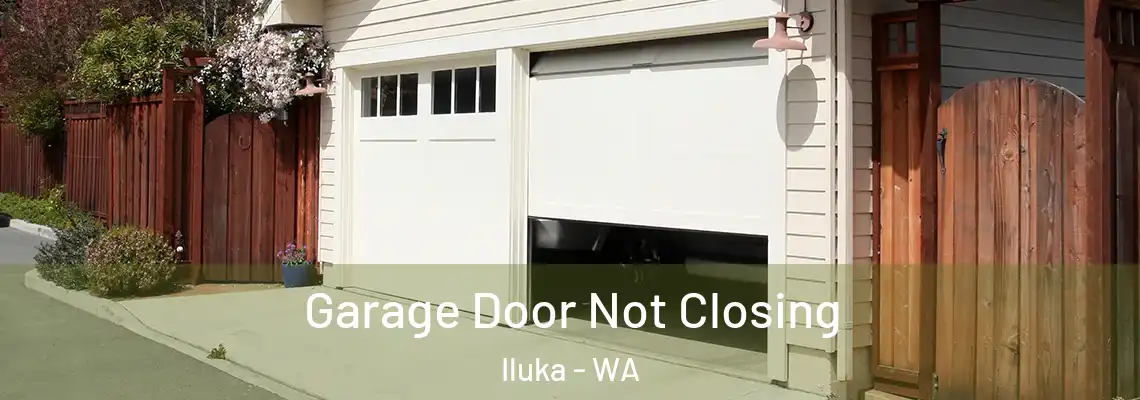 Garage Door Not Closing Iluka - WA