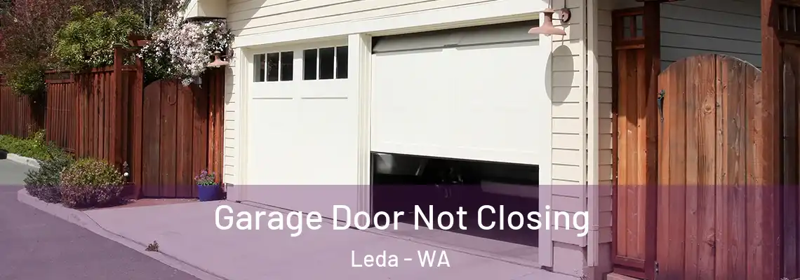 Garage Door Not Closing Leda - WA