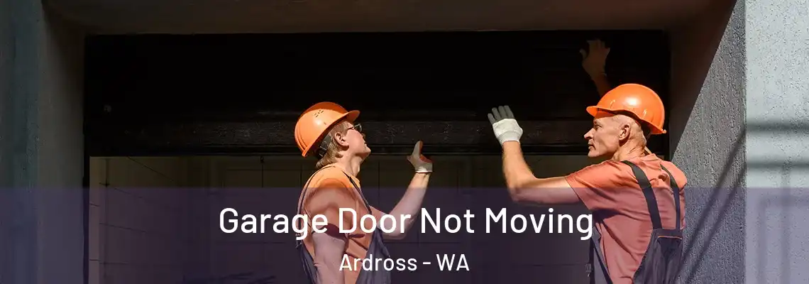Garage Door Not Moving Ardross - WA