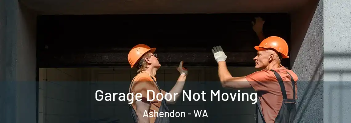 Garage Door Not Moving Ashendon - WA