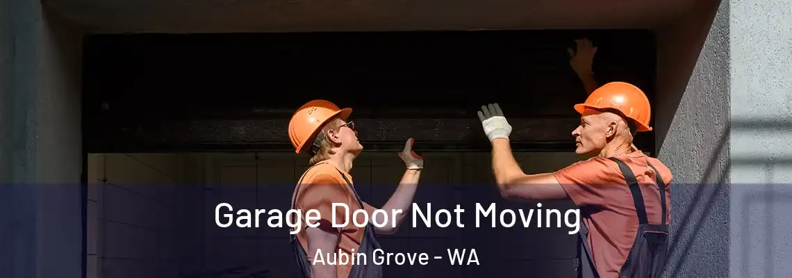 Garage Door Not Moving Aubin Grove - WA