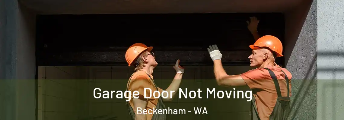 Garage Door Not Moving Beckenham - WA