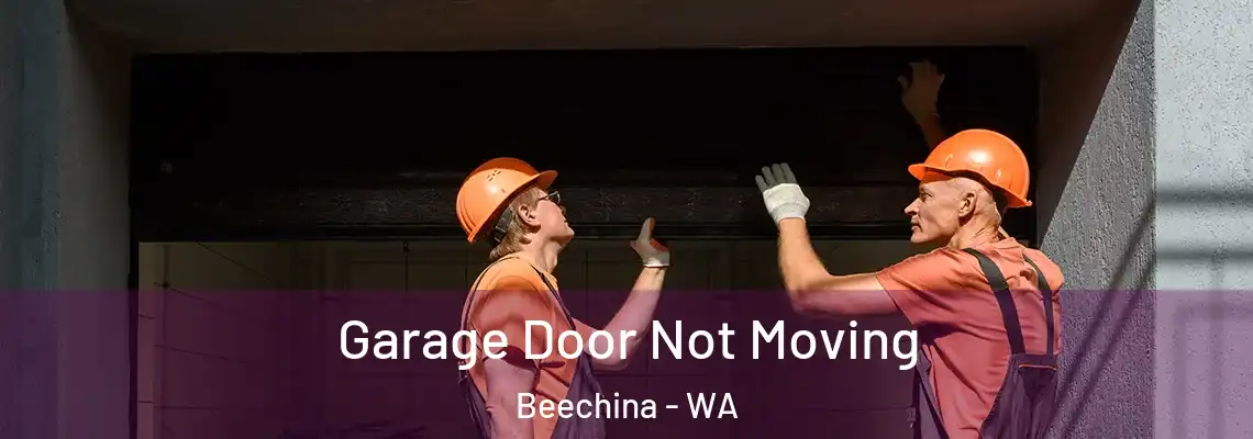 Garage Door Not Moving Beechina - WA