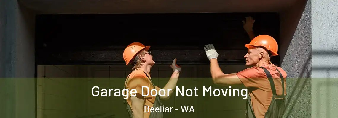 Garage Door Not Moving Beeliar - WA