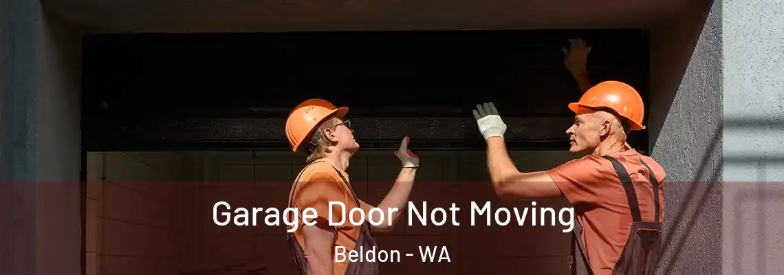 Garage Door Not Moving Beldon - WA