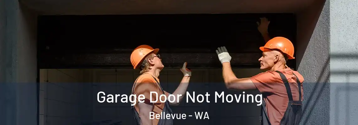 Garage Door Not Moving Bellevue - WA