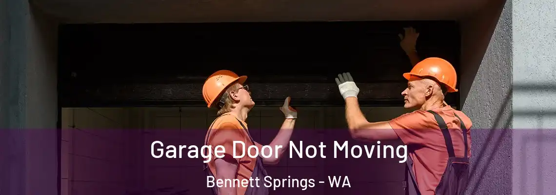 Garage Door Not Moving Bennett Springs - WA
