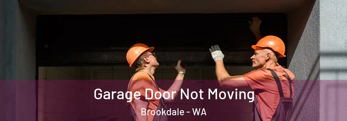 Garage Door Not Moving Brookdale - WA