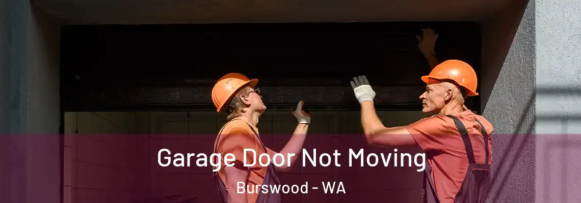 Garage Door Not Moving Burswood - WA