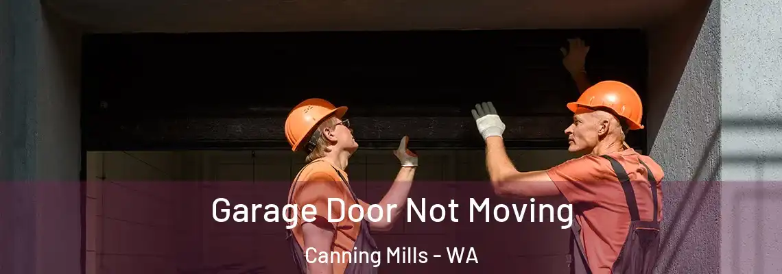 Garage Door Not Moving Canning Mills - WA