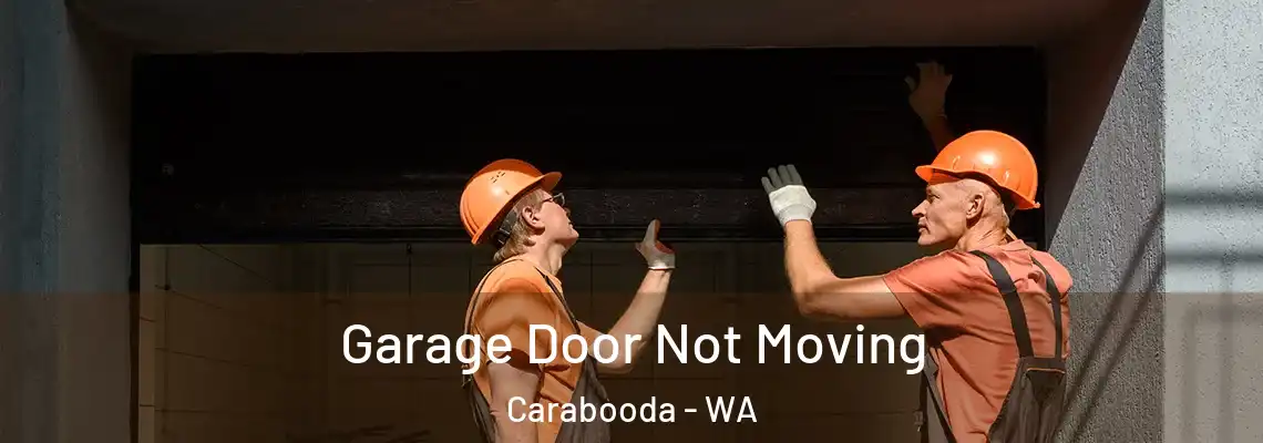 Garage Door Not Moving Carabooda - WA