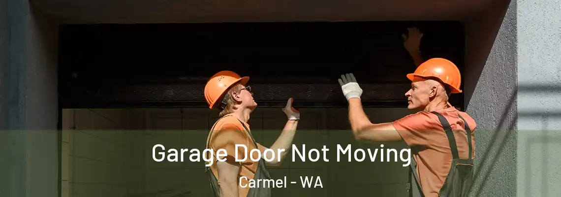 Garage Door Not Moving Carmel - WA