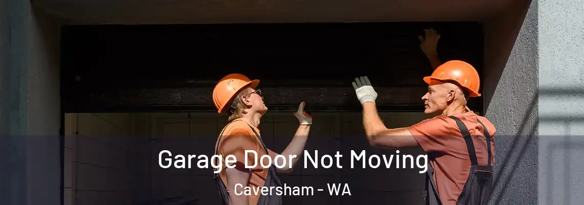 Garage Door Not Moving Caversham - WA