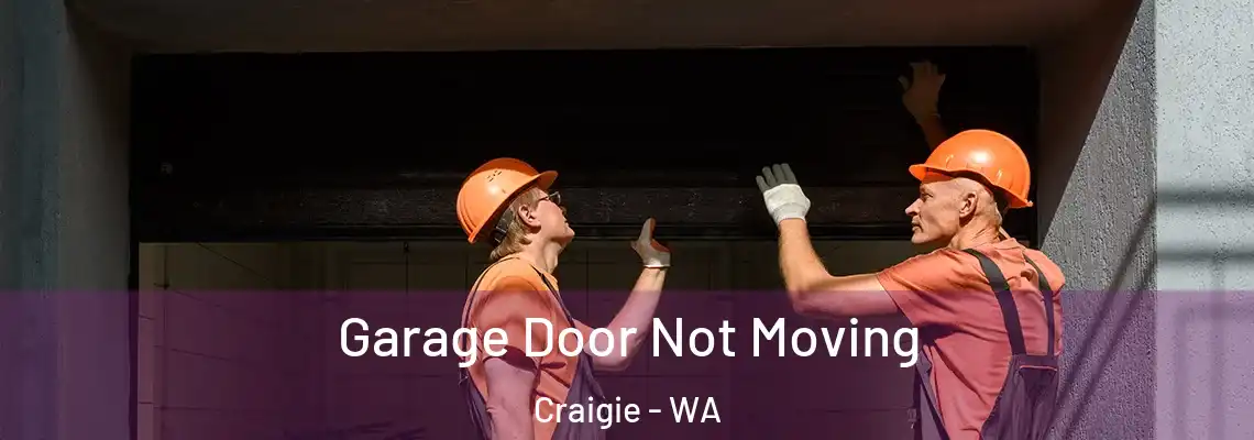 Garage Door Not Moving Craigie - WA