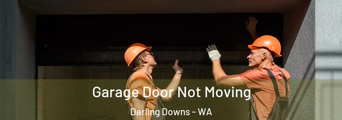 Garage Door Not Moving Darling Downs - WA