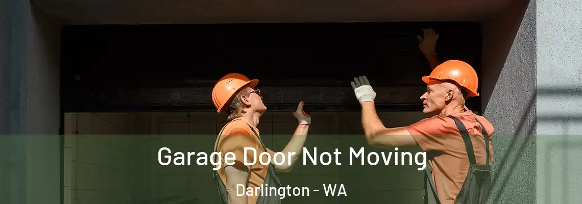 Garage Door Not Moving Darlington - WA